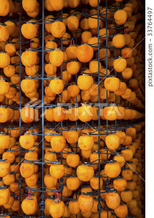 Dried persimmons, Yeongdong-gun, Chungbuk 33764497