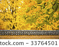 Fence, Gyeongbokgung Palace (Historic Site No. 117), Jongno-gu, Seoul 33764501