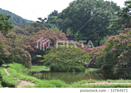 Bongong-myeon，Ook-okon，Damyang-gun，Jeonnam 33764971