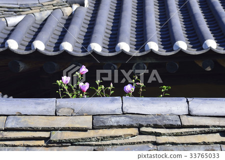 Mugunghwa, A tile, A roof of a tile, Sancheong Step Rijin high price, Sancheong-gun, Gyeongnam 33765033