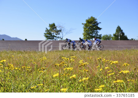 花,週期,自行車場,Sankaku河公園,Sasang-gu,釜山 花,週期,自行車場,Sankaku河公園,Sasang-gu,釜山 33765185