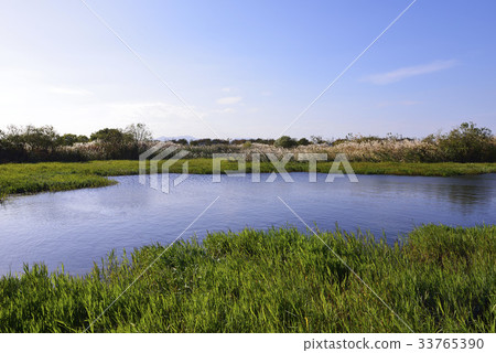 釜山江西區麥克生態公園 33765390