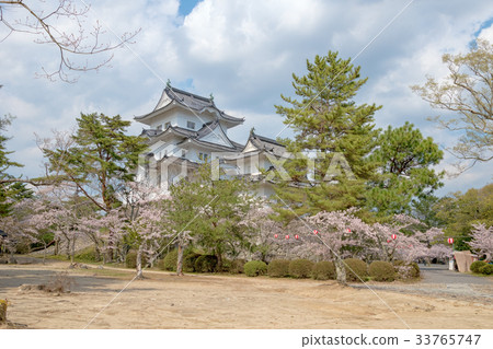 Iga Ueno Castle (April Sakura Spring) Iga Ueno Castle (April Sakura Spring) 33765747