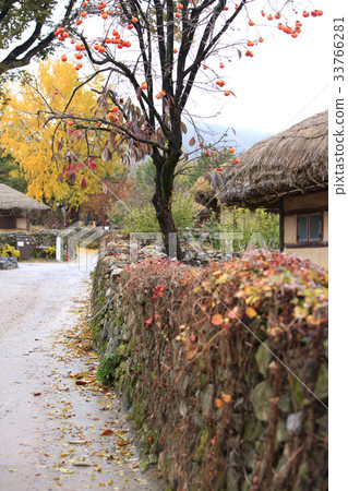 忠南縣牙山市外民俗村柿子 33766281