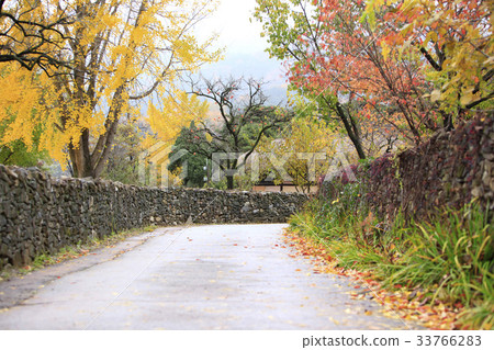 忠武縣峨山市外娛樂村 33766283