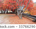 Maple，Magok，Taishi，Gongju，Chungnam 33766290