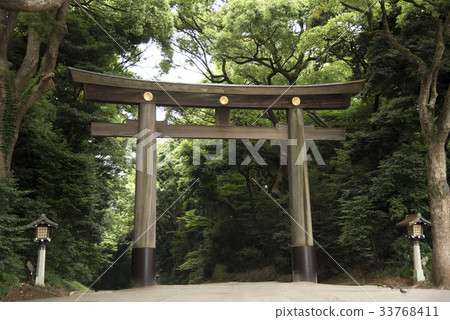 Tori gate and Lamp at Meiji-jingu temple or shrine Tori gate and Lamp at Meiji-jingu temple or shrine 33768411