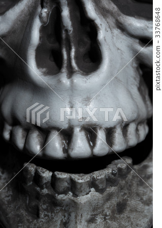 Close-up view of the human skull Close-up view of the human skull 33768648