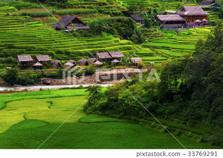 Beautiful scene of rice fields and terrace Beautiful scene of rice fields and terrace 33769291