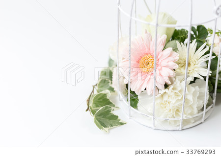 花 花 33769293