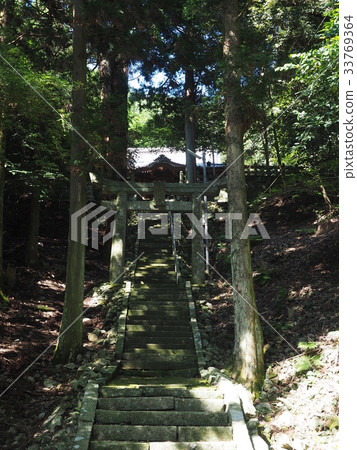 若松神宮 33769364