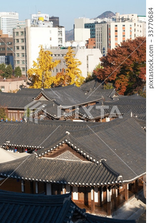 Maple, Namsangol Hanok Village, Jung-gu, Seoul 33770684