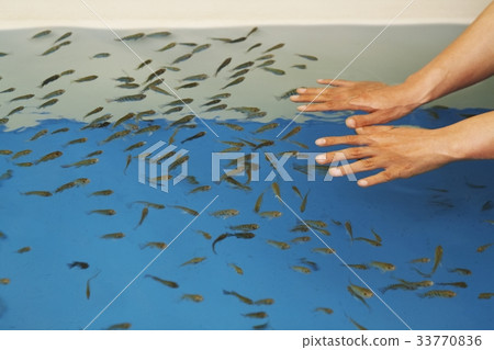 Hand, Doctor Fish 33770836