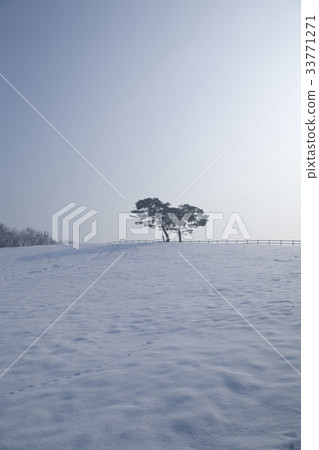 Stallion Ranch, Wangdang, Goyang City, Gyeonggi-do 33771271