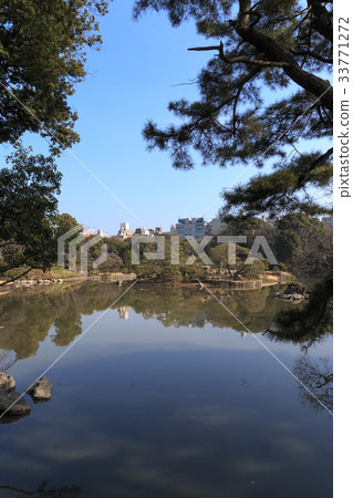 Garden scenery (Tokyo, Rikugien, winter, early spring) 33771272