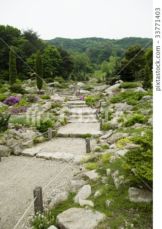 京畿道抱川市平崗植物園 33771403
