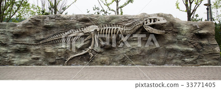 Tyrannosaurus fossil, Yeoncheon-gun, Gyeonggi-do Tyrannosaurus fossil, Yeoncheon-gun, Gyeonggi-do 33771405