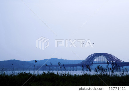 Geese, Banghae Bridge, Gangseo-gu, Han River, Seoul Geese, Banghae Bridge, Gangseo-gu, Han River, Seoul 33771411