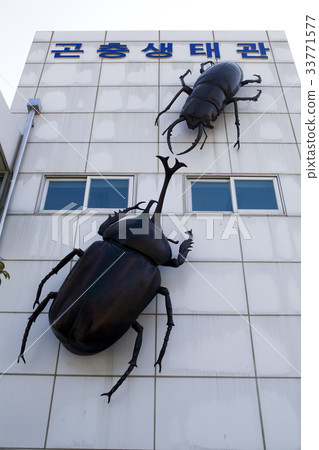 江原道襄陽郡陽陽昆蟲生態大廈 33771577