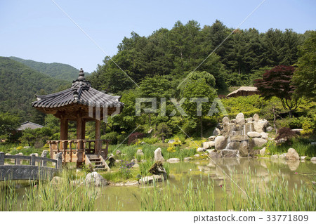 Morning Calm Arboretum, Gapyeong-gun, Gyeonggi-do 33771809