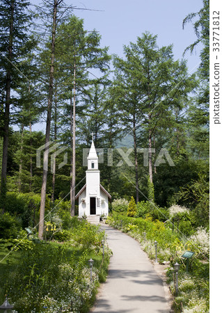 京畿道加平郡早晨平靜植物園 京畿道加平郡早晨平靜植物園 33771812