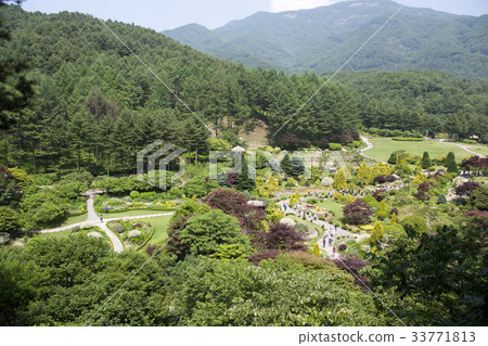Morning Calm Arboretum, Gapyeong-gun, Gyeonggi-do Morning Calm Arboretum, Gapyeong-gun, Gyeonggi-do 33771813