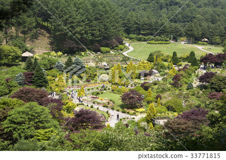 Morning Calm Arboretum, Gapyeong-gun, Gyeonggi-do 33771815