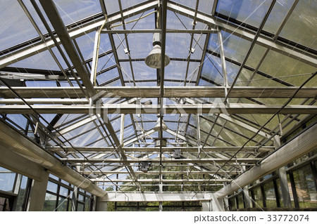 Greenhouse, Jade Garden, Chuncheon, Gangwon-do 33772074