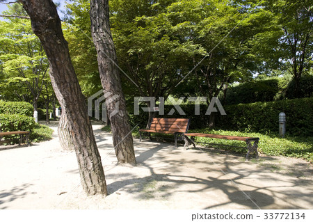長凳，花園，江南區，首爾 33772134