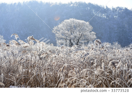 Soyang River, Chuncheon City, Gangwon Province 33773528
