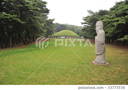 Pine，Moon Inseok，Gyeongju Royal Hwanggeung（Historic Site No. 30），Gyeongju，Gyeongbuk 33773530