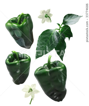 Ancho Grande chile peppers, elements, paths 33774686