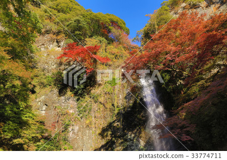 Minoh waterfall in autumn, Osaka, Japan 33774711