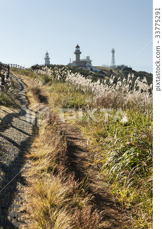 The Great Park, Uda Island, Jeju City, Jeju Island 33775291