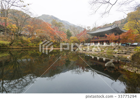 Ssanggyeol, Baekyangsa, Baekam Mountain, Changseong County, Jeonnam 33775294