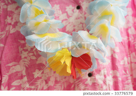 Image photo 33776579