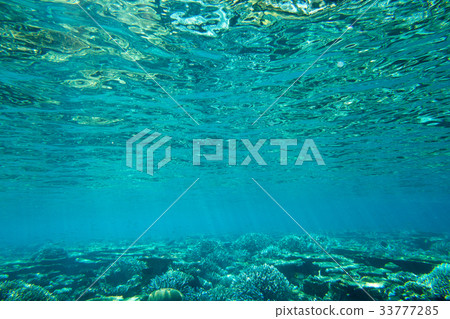underwater scene with copy space 33777285