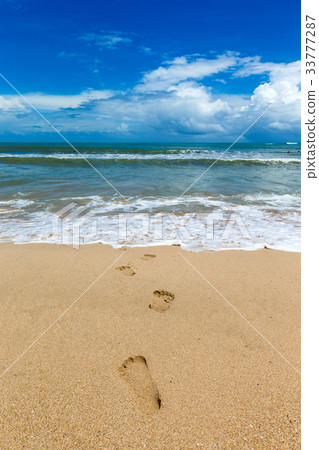 beach and tropical sea 33777287