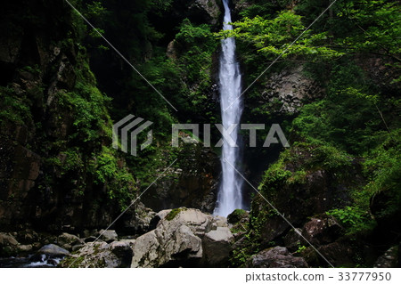 Neo Waterfall Neo Waterfall 33777950