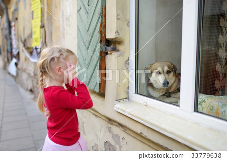 Adorable little girl met friendly dog behind a window 33779638