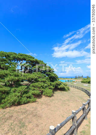 Inhirahiramatsu Itayaya島 Inhirahiramatsu Itayaya島 33780046