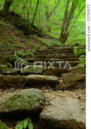 Mountain path with stone steps 33780072