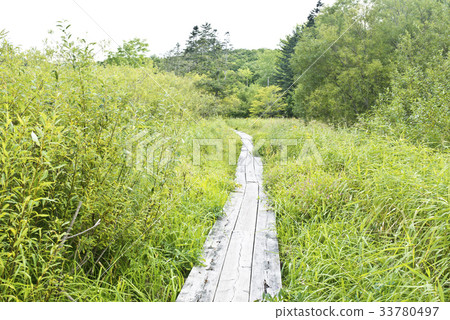 Boardwalk  Boardwalk  33780497