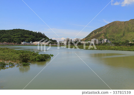 wetland at Tai O fishing village 33781539