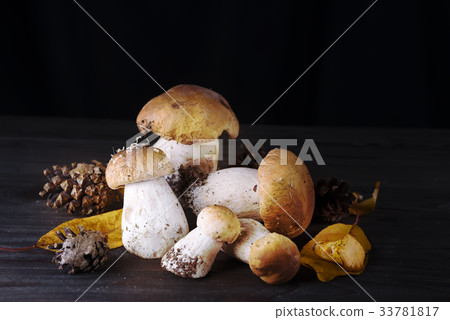 Mushrooms in the forest. 33781817