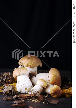 Mushrooms in the forest. Mushrooms in the forest. 33781824