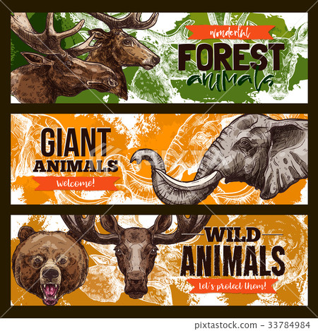 Wild animals vector zoo or save animal banners Wild animals vector zoo or save animal banners 33784984