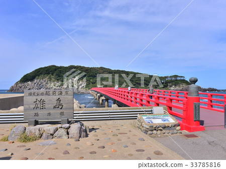 尾島-189016 33785816