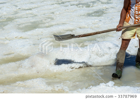 Worker shoveled the salt crystallizes  33787969