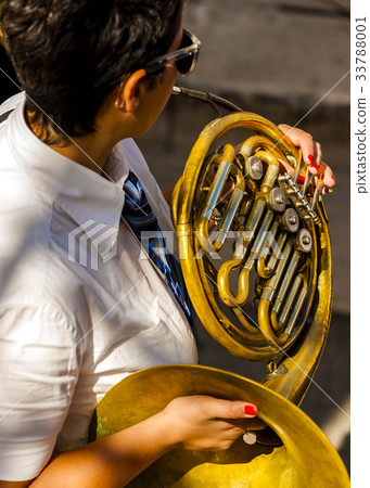 musician plays the woodwind musical instrument musician plays the woodwind musical instrument 33788001